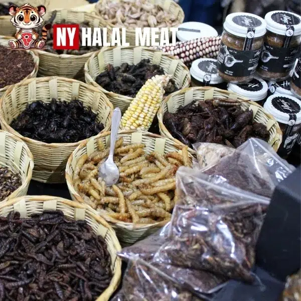 Halal Entomophagy