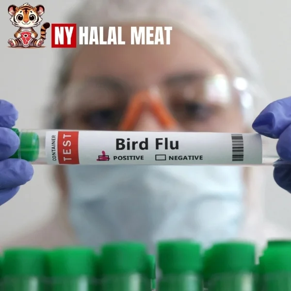 Global Bird Flu Pandemic Triggers