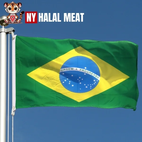 Brazil Faces Sanctions for Illegal Beef Exports